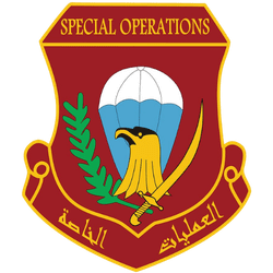 Iraqi Forces Partner Logo