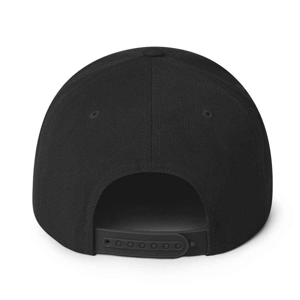 Snapback Hat - Image 2